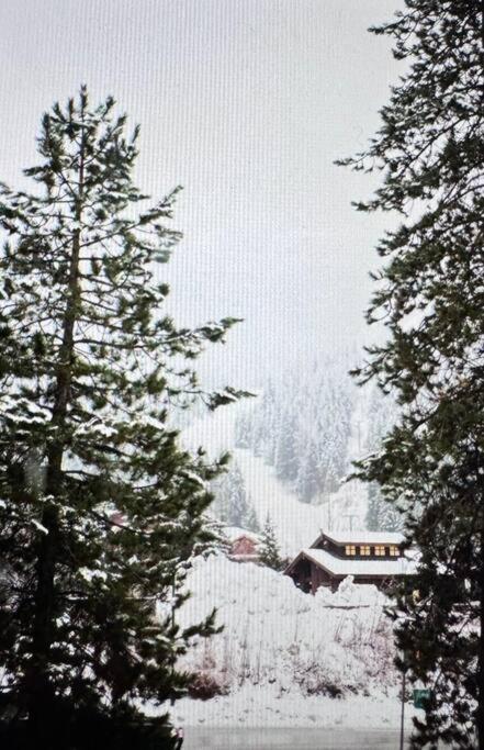 Powder & Pines Luxury Suite Whistler Luaran gambar